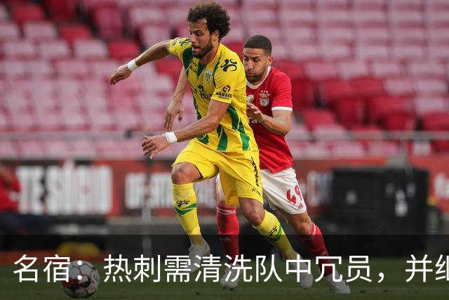 名宿：热刺需清洗队中冗员，并继续引援支持德泽尔比建队