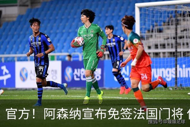 官方！阿森纳宣布免签法国门将 伊兰-梅利耶加盟披30号
