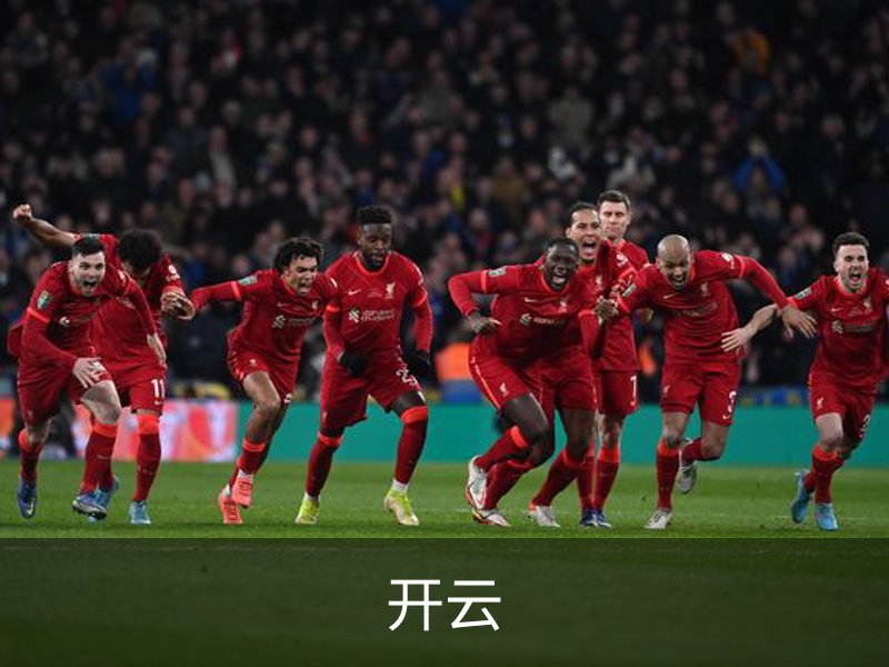 关于开云